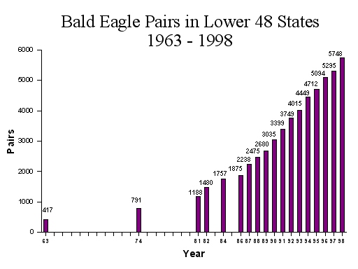 bald eagles population