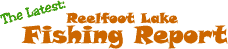 reelfoot lake fishing report