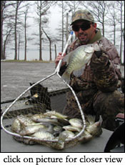 Reelfoot Crappie Fishing Tips and Tricks